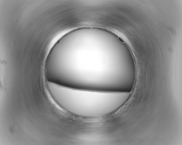 X0000091201440200708091032