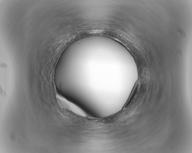 X0000091201441200708091031