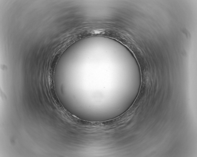 X0000091201442200708091031