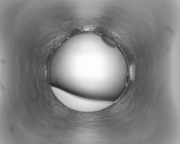 X0000091201443200708091031
