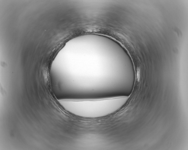 X0000091201444200708091031