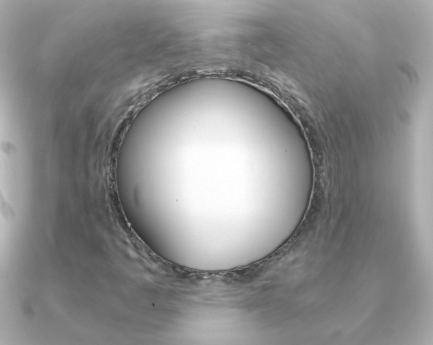 X0000091201445200708091031