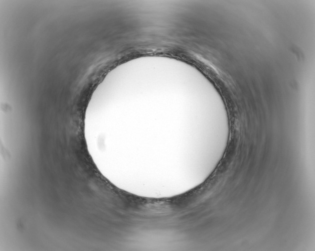 X0000091201447200708091031