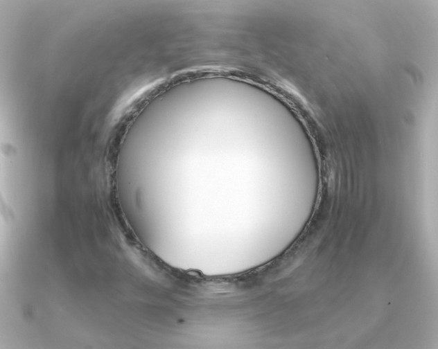 X0000091201448200708091031