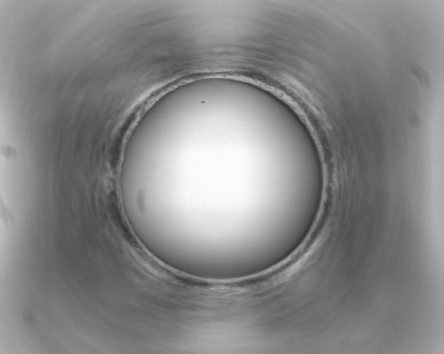 X0000091201449200708091031