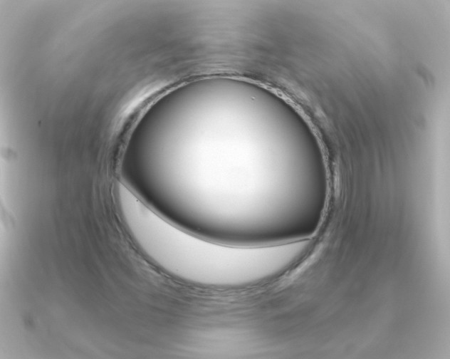 X0000091201453200708091031