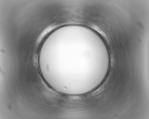 X0000091201454200708091031