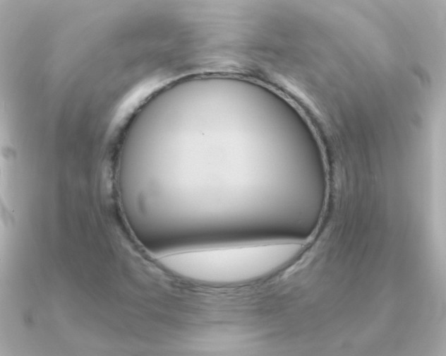 X0000091201455200708091031