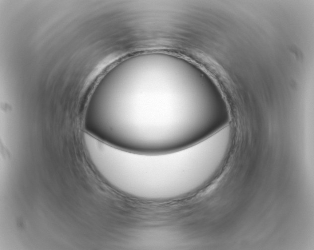 X0000091201457200708091031