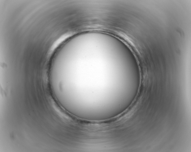 X0000091201458200708091031