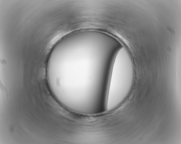 X0000091201459200708091031