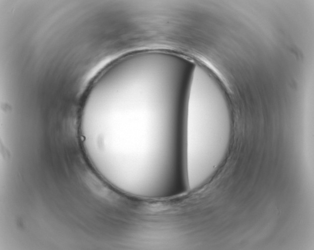 X0000091201460200708091031