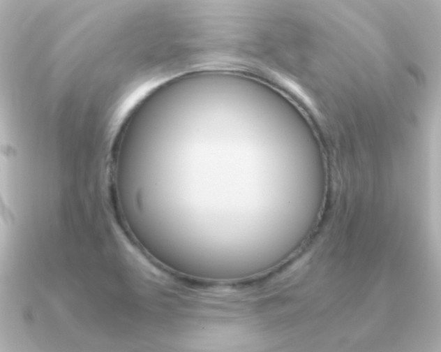 X0000091201463200708091031
