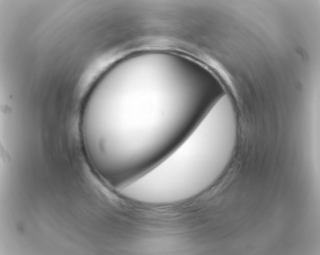 X0000091201464200708091031