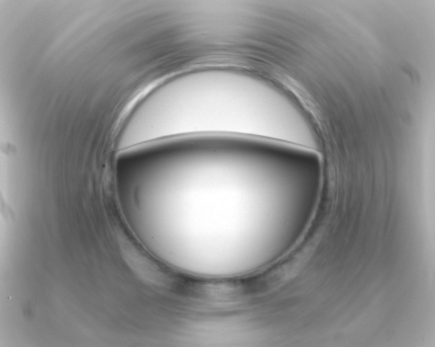 X0000091201465200708091031