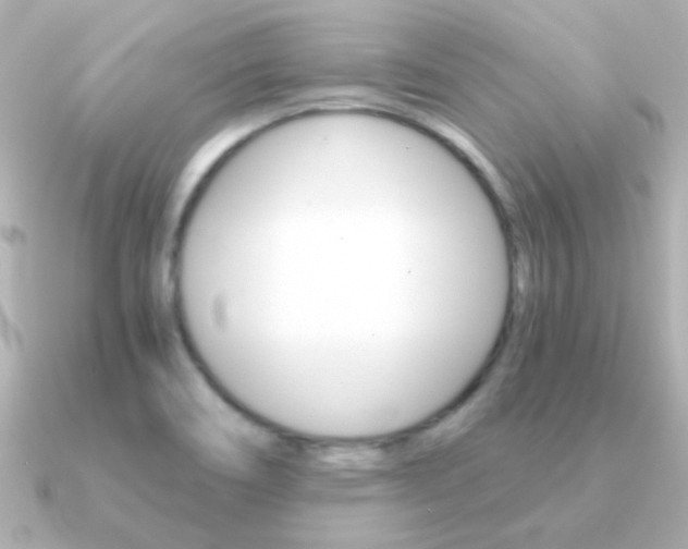X0000091201466200708091031