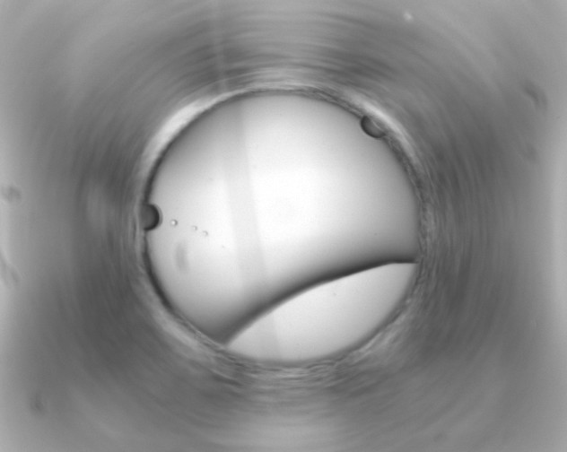 X0000091201467200708091031