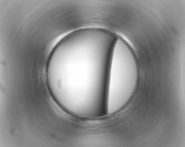 X0000091201468200708091031