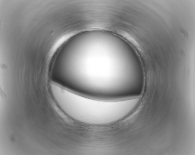 X0000091201469200708091031