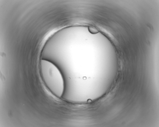 X0000091201471200708091031