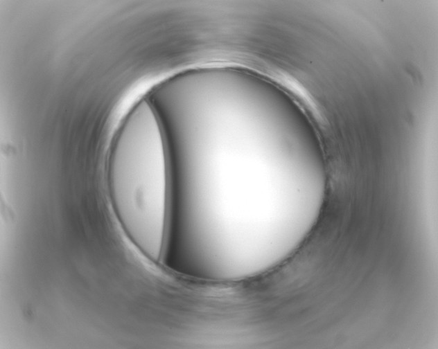 X0000091201472200708091031