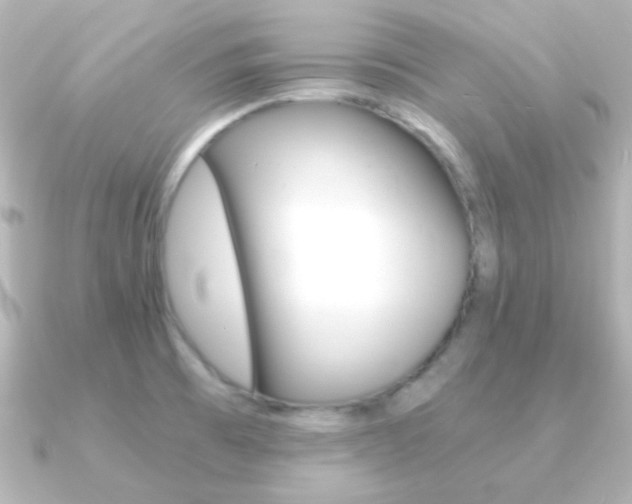 X0000091201473200708091031