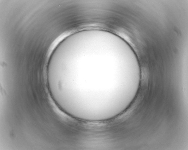 X0000091201474200708091031