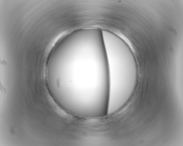 X0000091201477200708091031