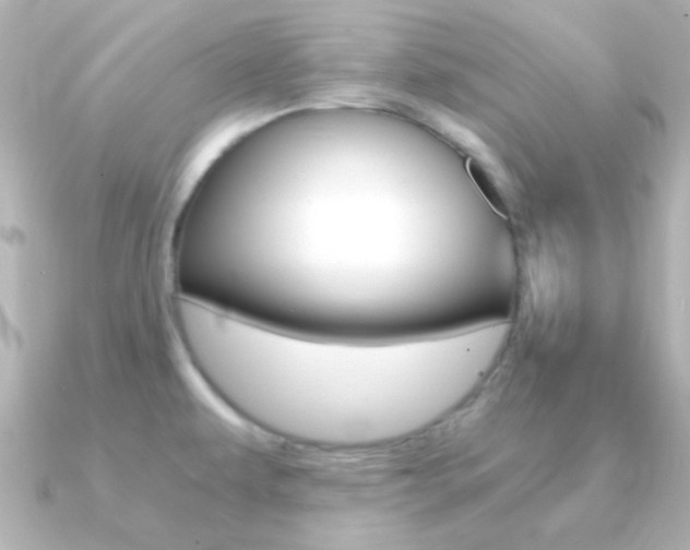 X0000091201479200708091031