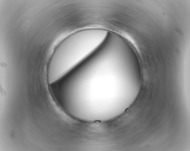 X0000091201480200708091031