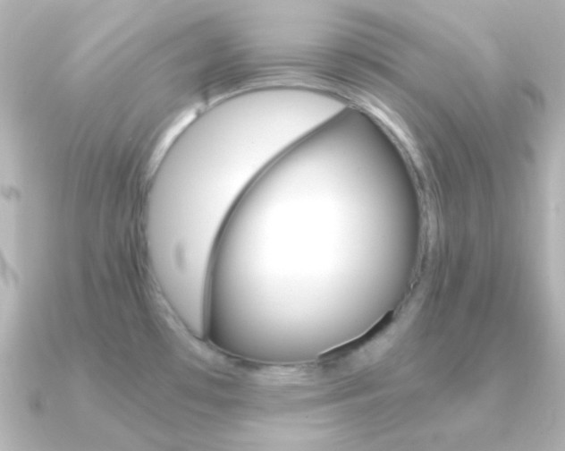 X0000091201481200708091031