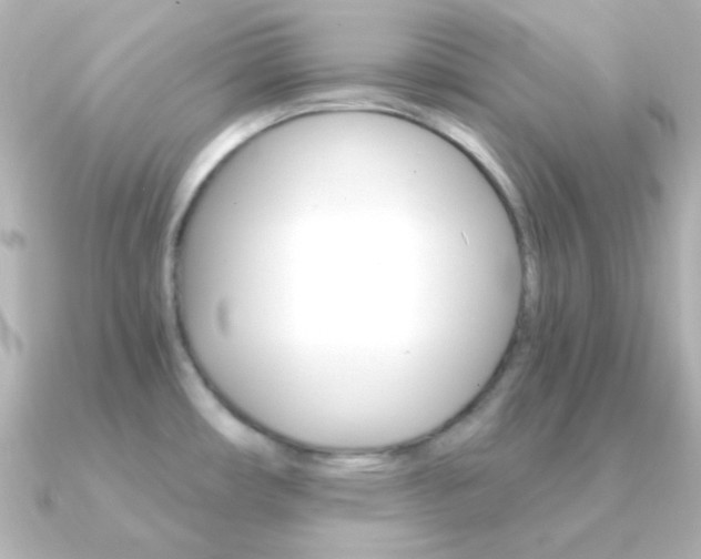 X0000091201482200708091031