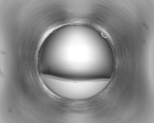 X0000091201483200708091031