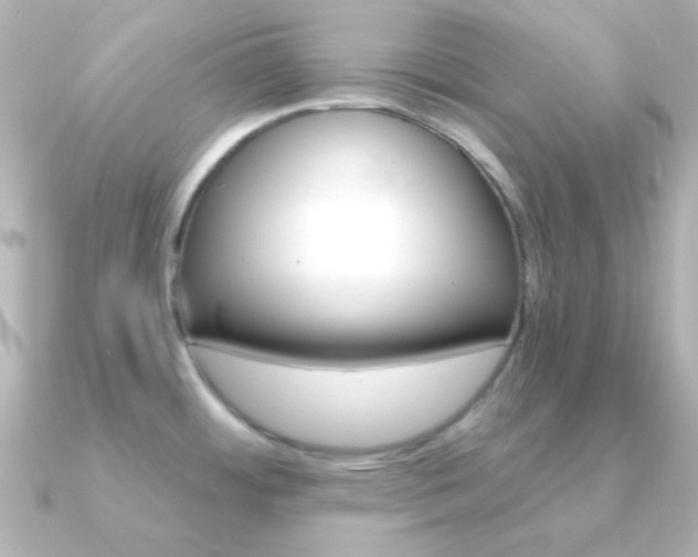 X0000091201484200708091031