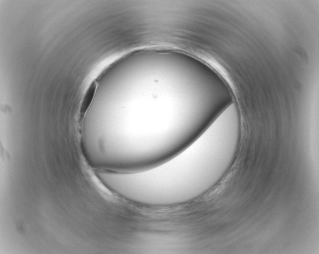 X0000091201485200708091031