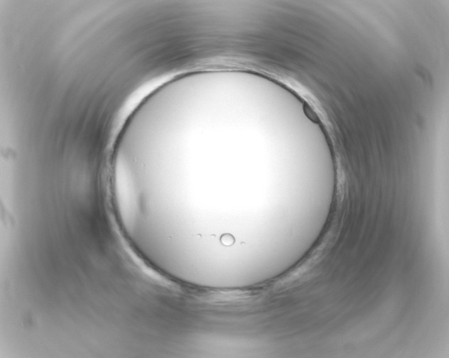 X0000091201486200708091031