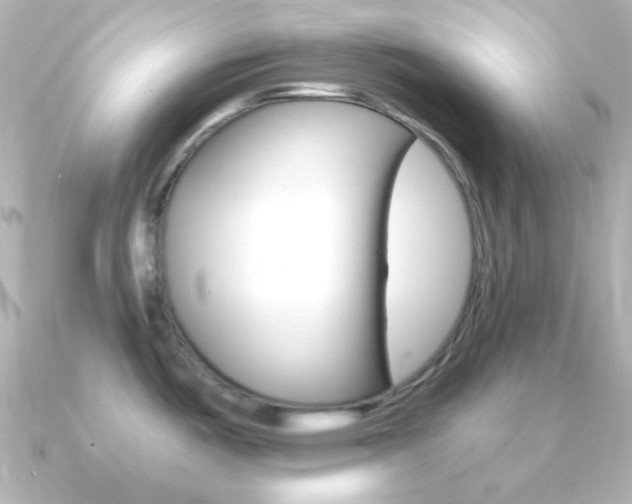 X0000091201487200708091031