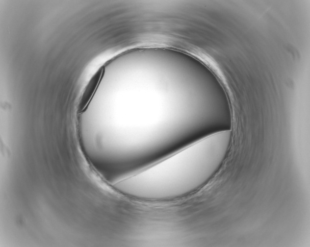 X0000091201488200708091031