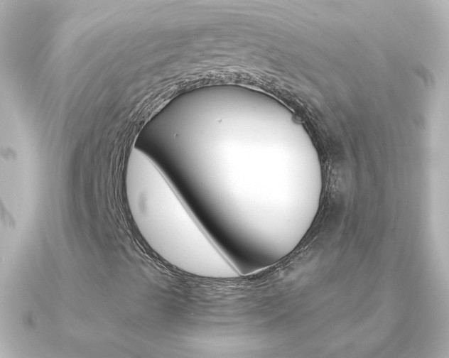 X0000091201489200708091030