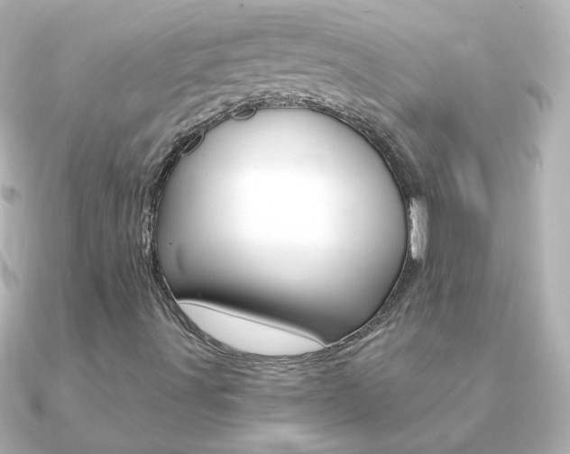 X0000091201491200708091030