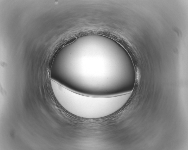 X0000091201492200708091030