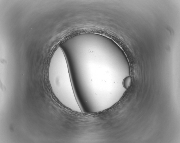 X0000091201493200708091030