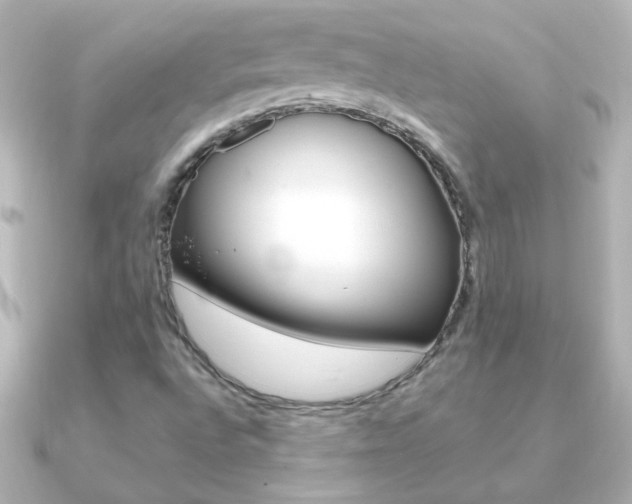 X0000091201496200708091030