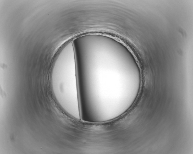 X0000091201497200708091030