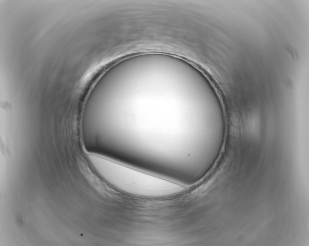 X0000091201499200708091031