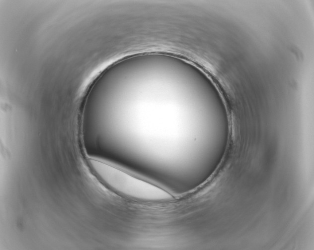 X0000091201500200708091031