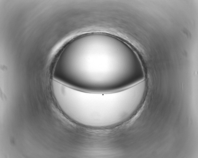 X0000091201502200708091031