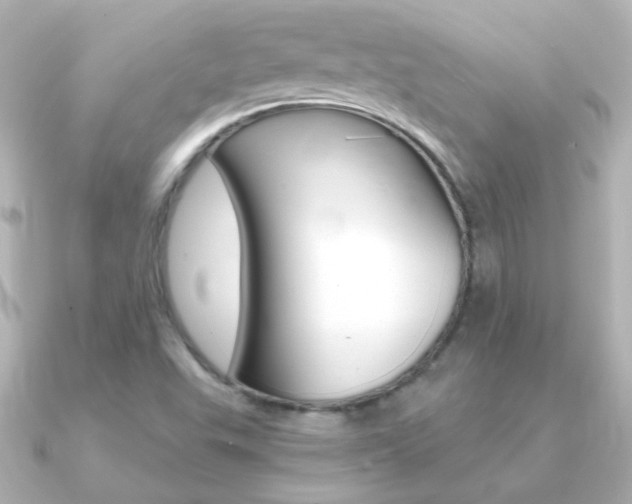 X0000091201503200708091031