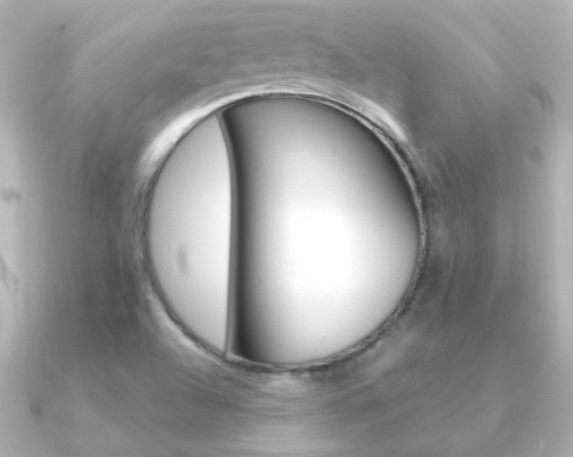 X0000091201504200708091031
