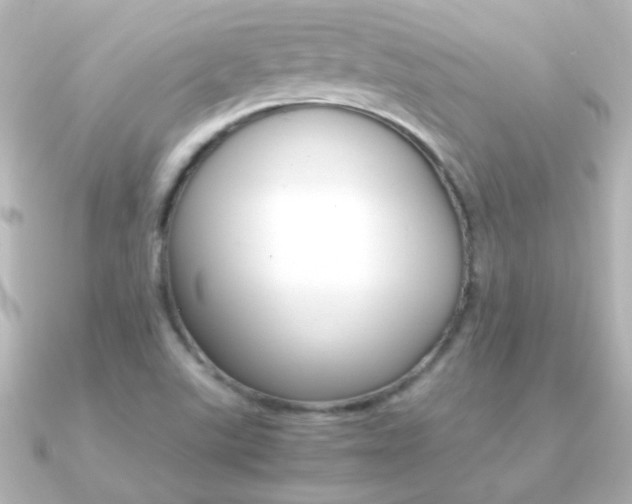 X0000091201507200708091031